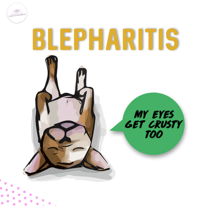Blepharitis Must Haves