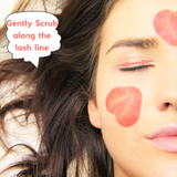 Oasis LID & LASH + Tea Tree Oil Cleansing Pads